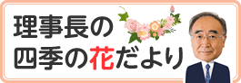 理事長の四季の花だより